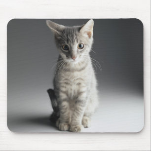 Blue Tabby Kitten Mouse Mat