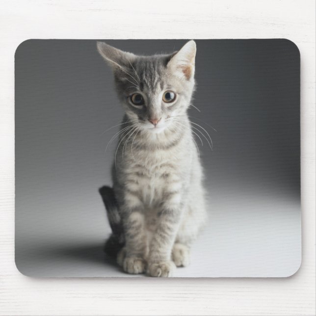 Blue Tabby Kitten Mouse Mat (Front)
