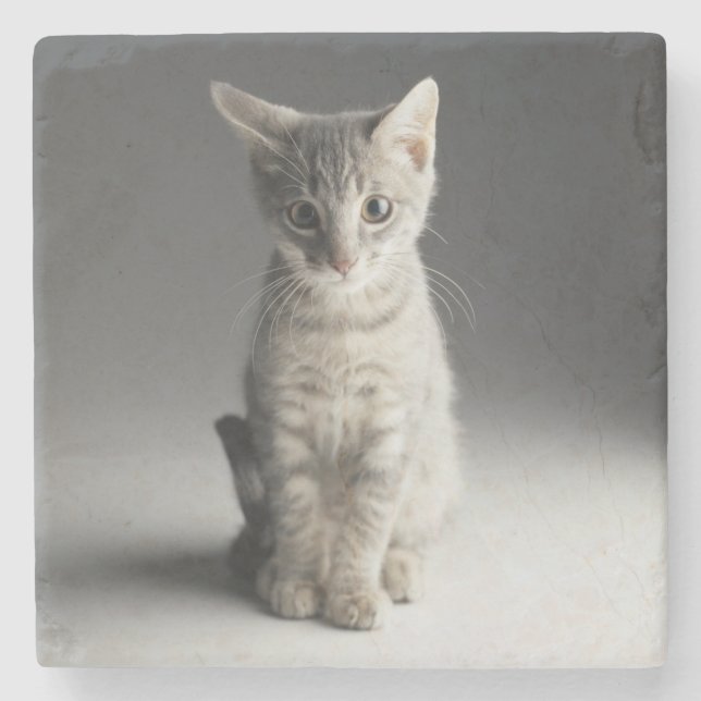 Blue Tabby Kitten Stone Coaster (Front)