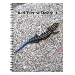 Blue Tailed Skink notebook