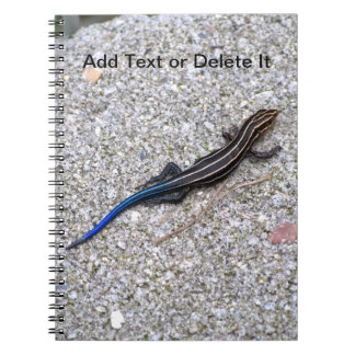 Blue Tailed Skink notebook