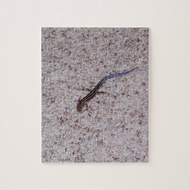 Blue-tailed Skink Puzzle (Vertical)