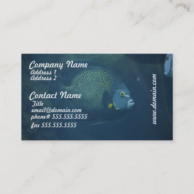 Blue Tang Fish Business Card (Front)