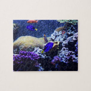 Blue Tang Fish Painting Puzzle