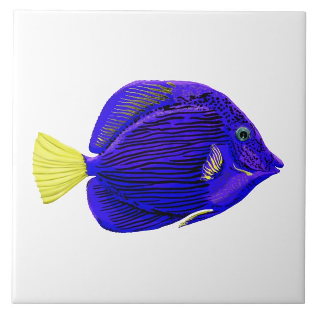 Blue tang fish tile (Front)