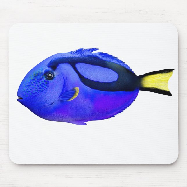Blue Tang Saltwater Fish Mouse Mat (Front)