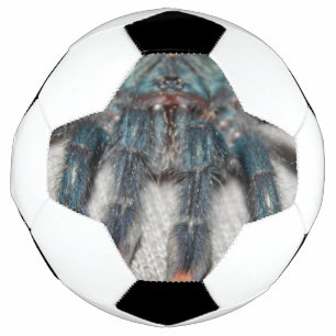 blue tarantula football