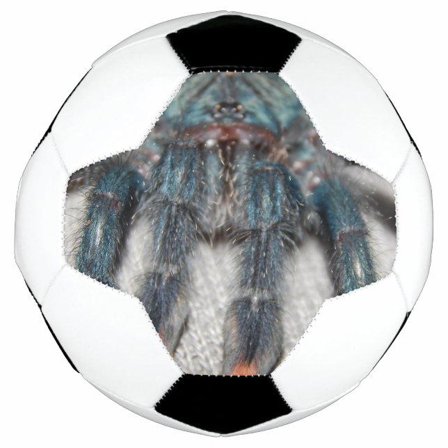 blue tarantula football (Front)
