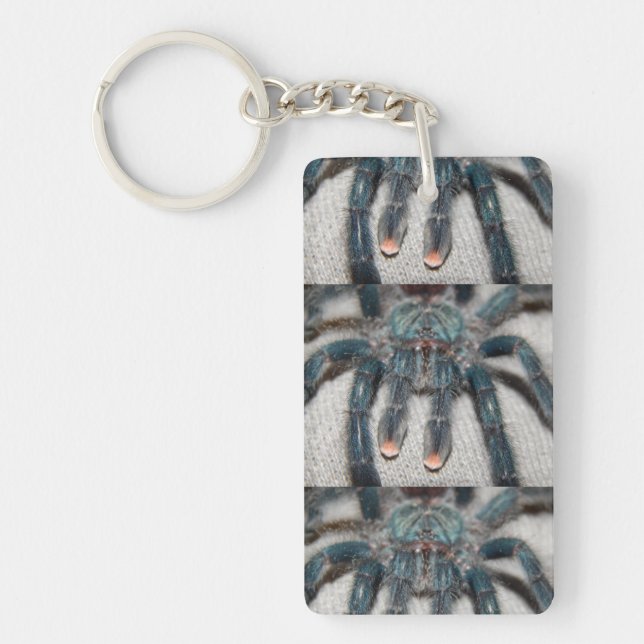 blue tarantula key ring (Front)