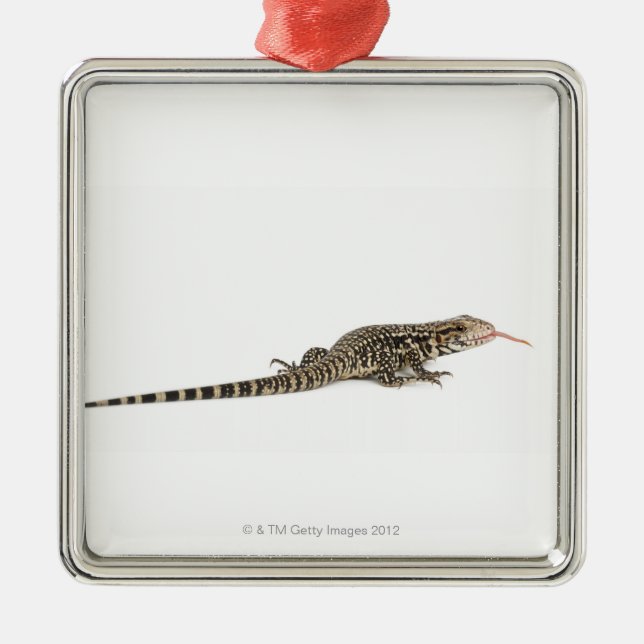 Blue tegu - Tupinambis merianae Metal Tree Decoration (Front)