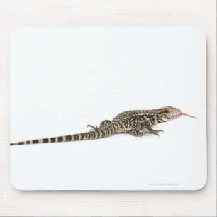 Blue tegu - Tupinambis merianae Mouse Mat