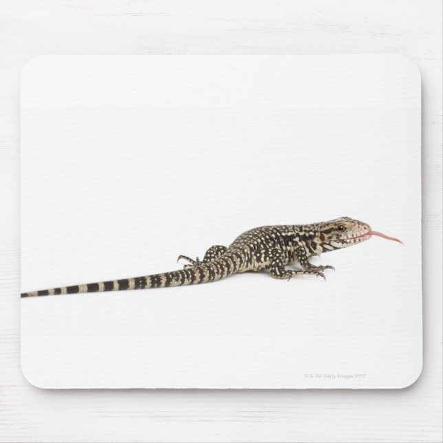 Blue tegu - Tupinambis merianae Mouse Mat (Front)