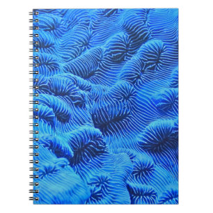Blue textile notebook