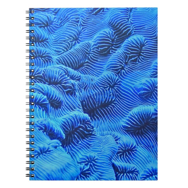 Blue textile notebook (Front)