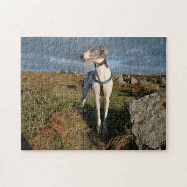 Blue the greyhound  jigsaw puzzle (Horizontal)