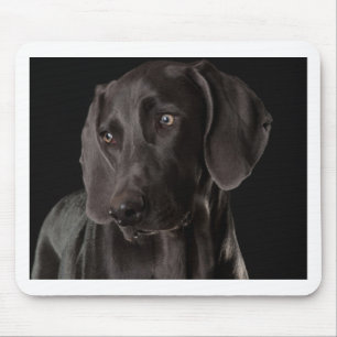 Blue the Weimaraner Mouse Mat