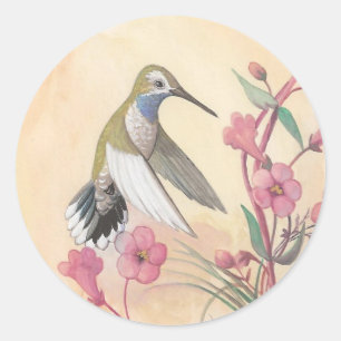 Blue-Throated Hummingbird Classic Round Sticker
