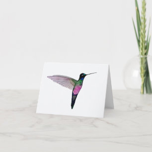 Blue-throated Starfrontlet Hummingbird Card