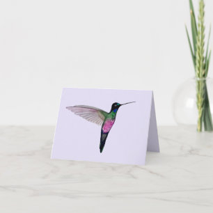 Blue-throated Starfrontlet Hummingbird Card