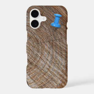 Blue Thumb Tack on Tree Rings