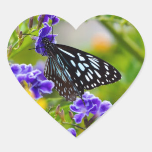 Blue tiger butterfly heart sticker