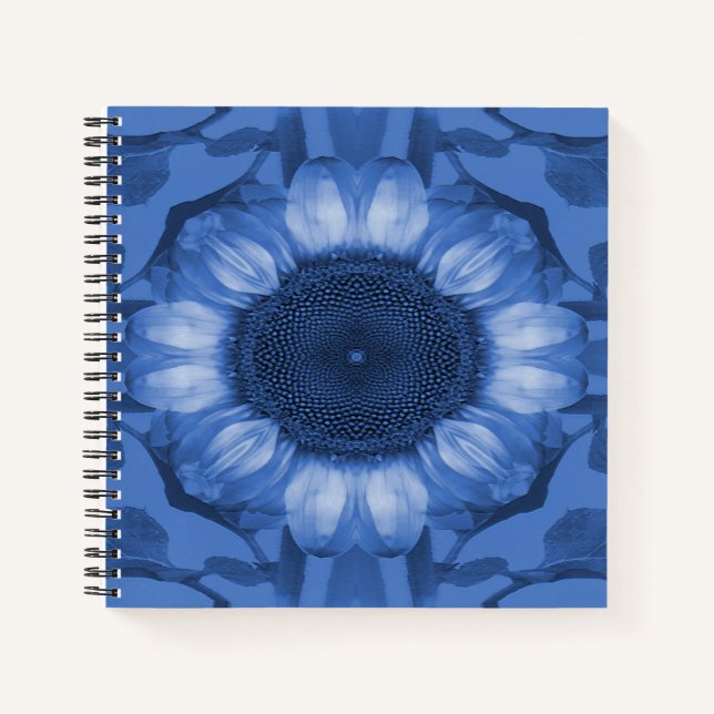 Blue times... notebook (Front)