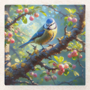 Blue Tit 1 Glass Coaster