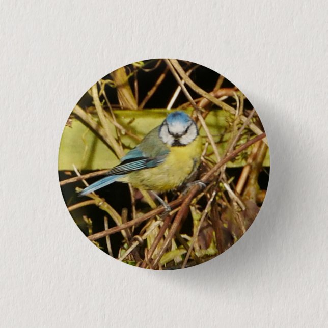 Blue Tit Badge (Front)