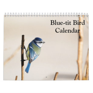 Blue-Tit Bird 2024 calendar