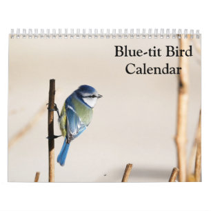 Blue-Tit Bird 2025 calendar