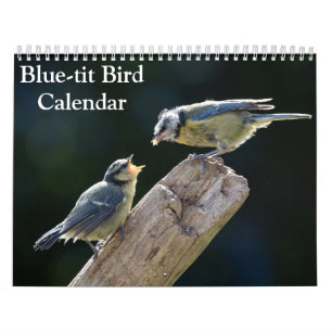 Blue-Tit Bird 2027 calendar