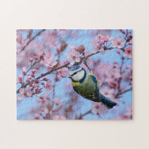 Blue Tit Bird in Pink Japanese Cherry Blossoms   Jigsaw Puzzle