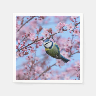 Blue Tit Bird in Pink Japanese Cherry Blossoms   Napkin