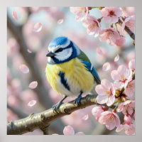  Blue Tit Bird on Cherry Blossom Tree Spring
