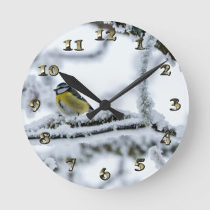 Blue Tit Bird Perched on Snowy Branch Round Clock