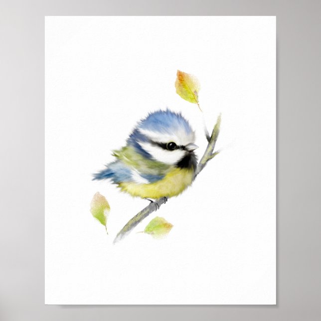 Blue tit Bird Poster Print (Front)
