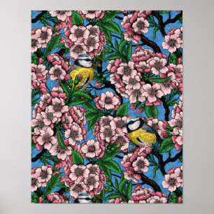 Blue tit birds in the blooming cherry tree on blue poster