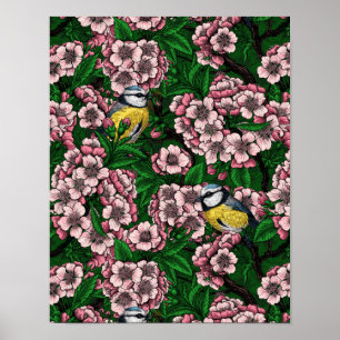 Blue tit birds in the blooming cherry tree on gree poster