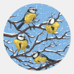 Blue tit birds in winter classic round sticker