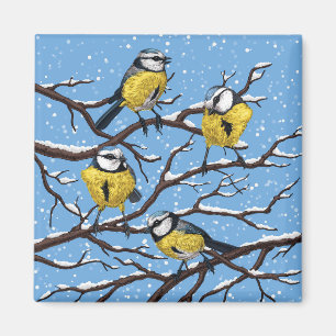 Blue tit birds in winter magnet