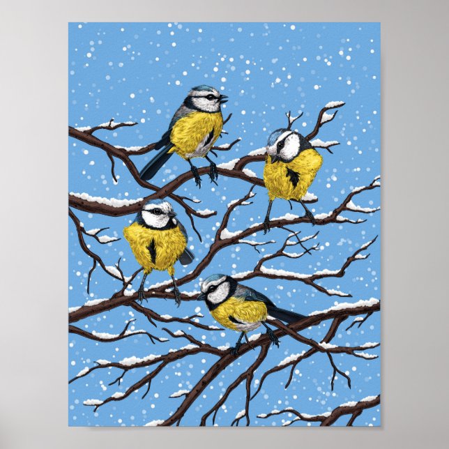 Blue tit birds in winter poster (Front)