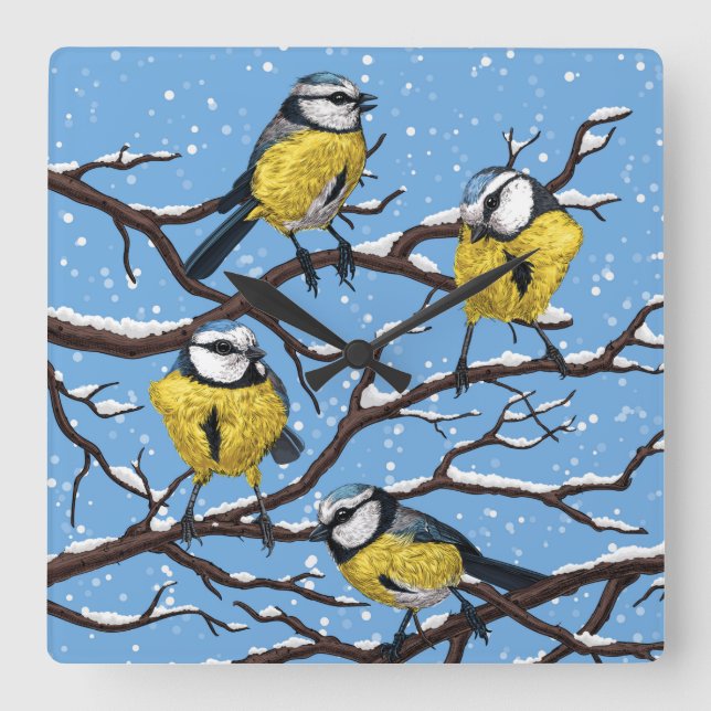 Blue tit birds in winter square wall clock (Front)