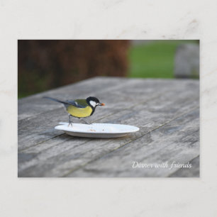 Blue Tit Feeding of a Cake Plate Holiday Postcard