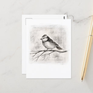 Blue tit postcard