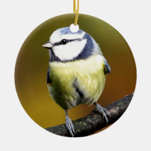 Blue tit sitting on a branch ceramic tree decoration (Front)