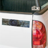Blue toned tree wood bumper sticker (On Truck)