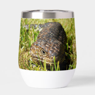 Blue Tongue Lizard Creeping In The Grass,