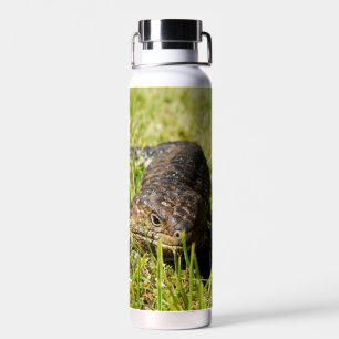 Blue Tongue Lizard Creeping In The Grass, Water Bottle