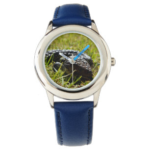 Blue Tongue Stumpy Australian Lizard,  Watch