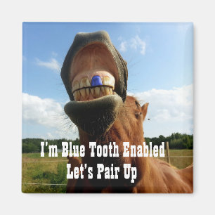 Blue Tooth Enabled Horse Magnet
